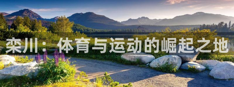 谈球吧