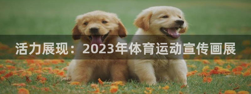 谈球吧：活力展现：2023年体育运动宣传画展