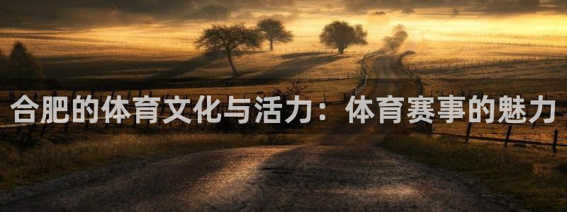 谈球吧体育：合肥的体育文化与活力：体育赛事的魅力