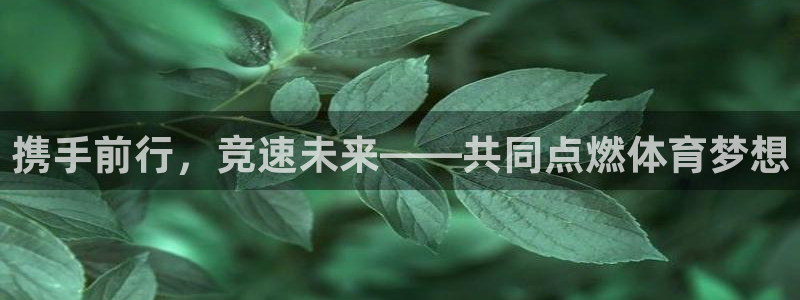 谈球吧体育官网：携手前行，竞速未来——共同点燃体育梦想