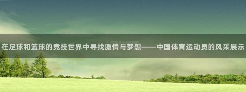 谈球吧体育：在足球和篮球的竞技世界中寻找激情与梦想——中国体育运动员的风采展示